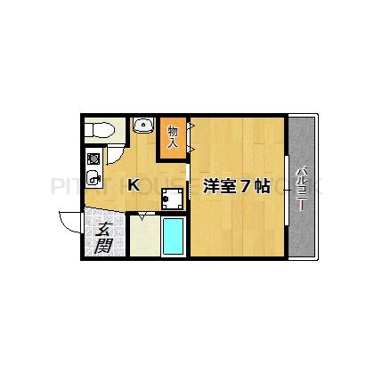 ネコ一匹相談可