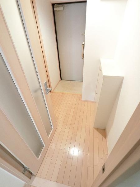 メゾン柏 その他部屋・スペース