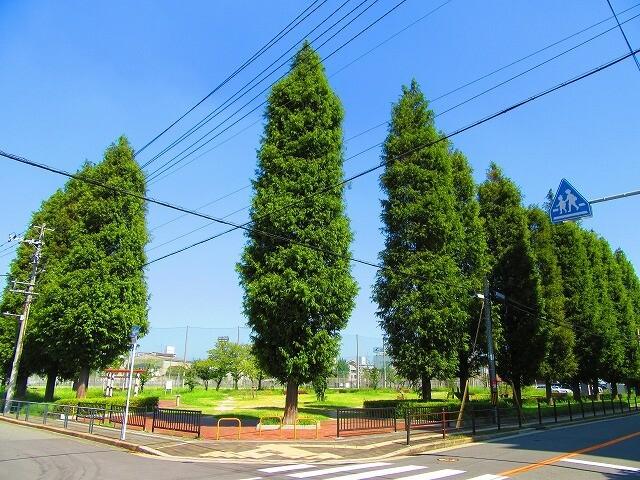 西淀公園：1106m