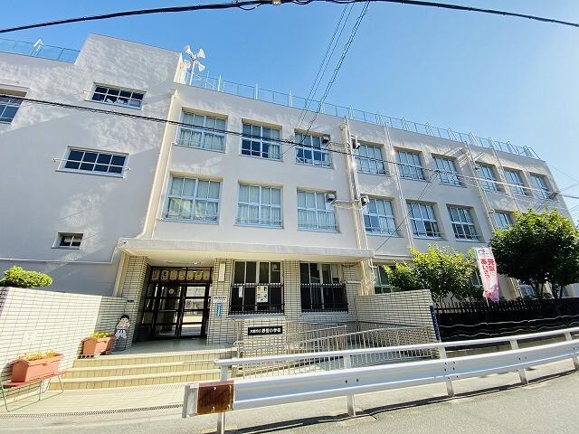 大阪市立野里小学校：303m