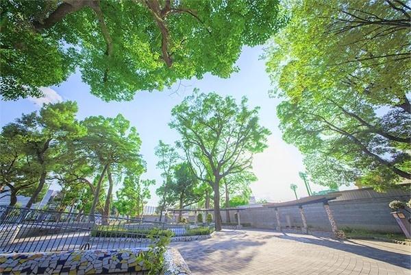 十三公園：798m