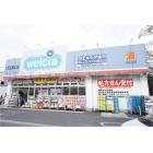 ウエルシア練馬向山店：224m