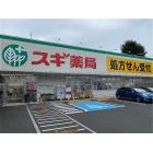 スギ薬局練馬三原台店：1352m