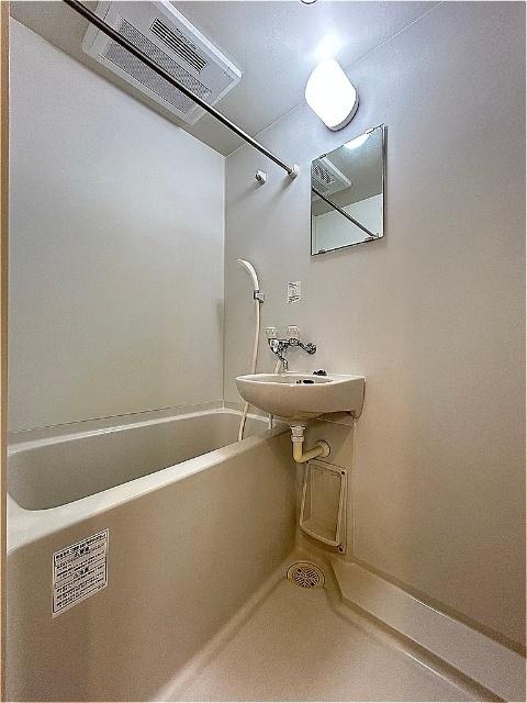 フェリーチェ豊玉中壱番館（102） 部屋画像