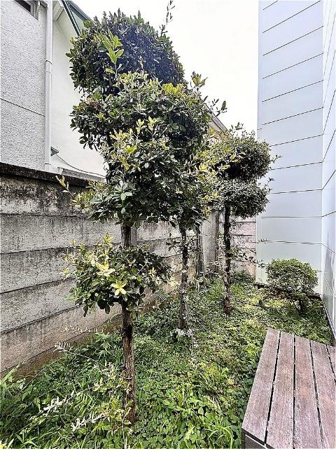 コートヤード（WEST8） 部屋画像