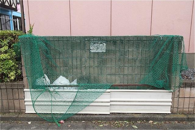 サンエイトA棟 物件画像