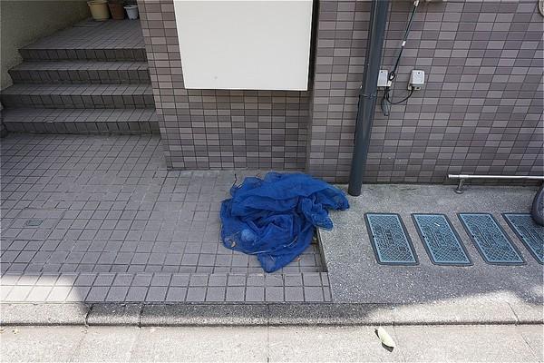 セピアシャトー 物件画像