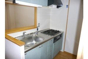 ルーラルエクシードＴＭ（407） 部屋画像