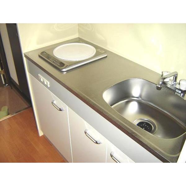ヴィスタ武庫（302） 部屋画像