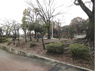 大井戸公園：776m