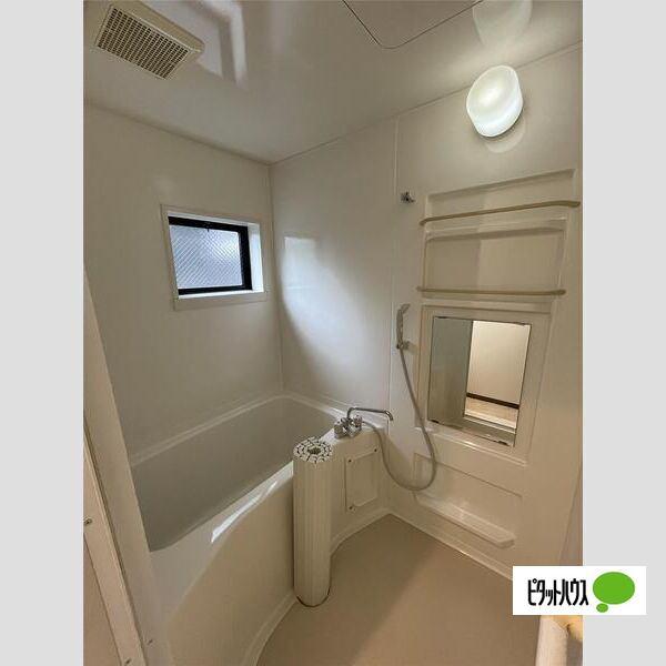 ドルフ武庫（A1） 部屋画像