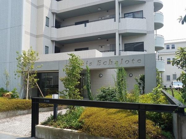 パレエシャロット 物件画像
