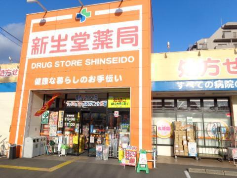 ドラッグ新生堂南大橋店：706m