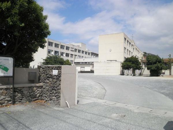 福岡市立三宅中学校：259m