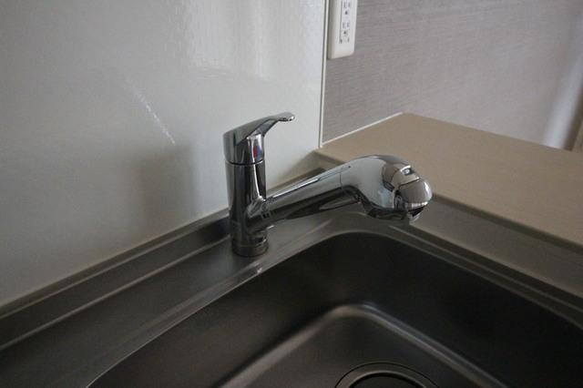 ロイヤルコート大谷（101） 部屋画像