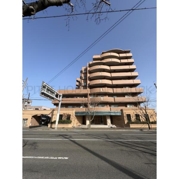 ダイアパレスグランデージ大橋南8番館