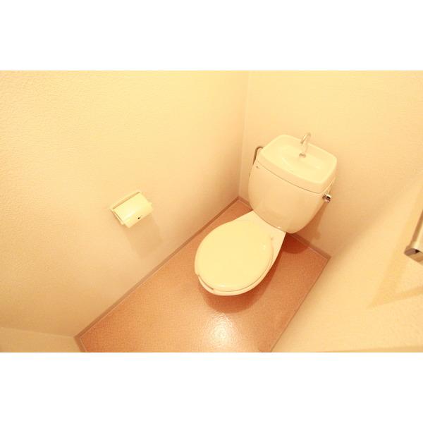 伊丹坂ハイツ（203） トイレ