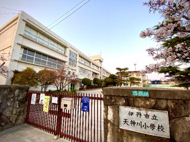 伊丹市立荒牧中学校：284m