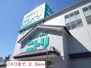 ニトリ：2500m