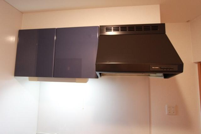 ラフィーネ伊丹Ⅲ その他部屋・スペース