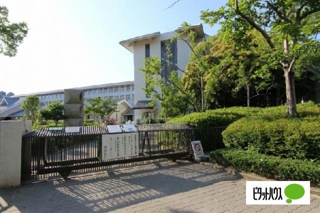 伊丹市立伊丹小学校：257m