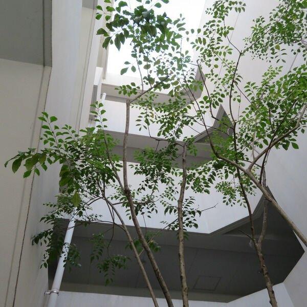クリスタ荒牧（306） ロビー