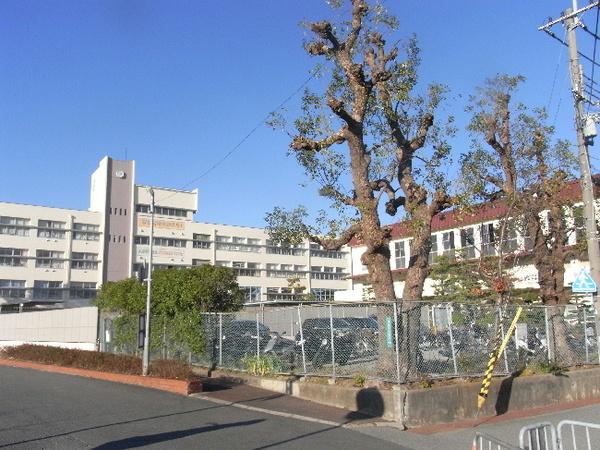 中学校