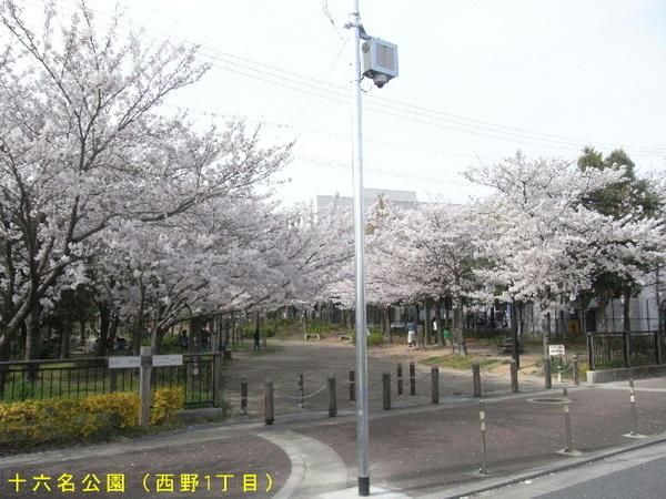 公園