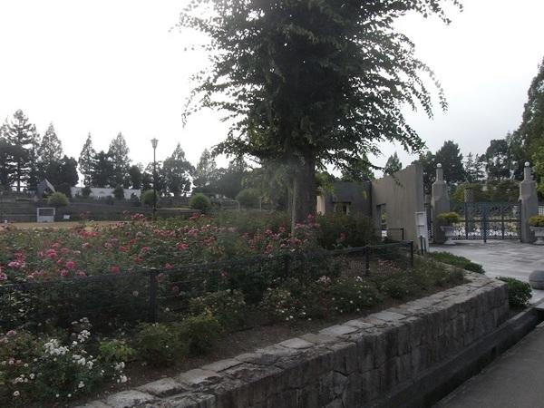 公園