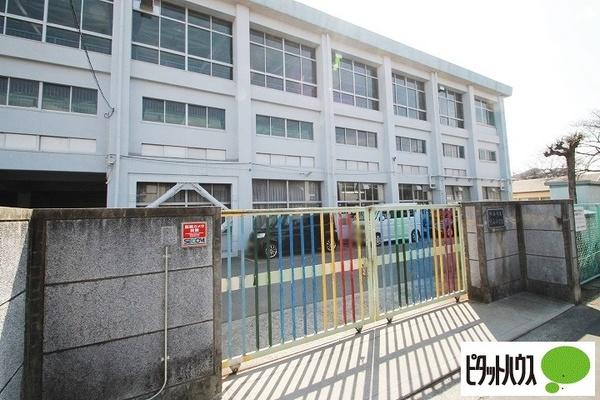 小学校