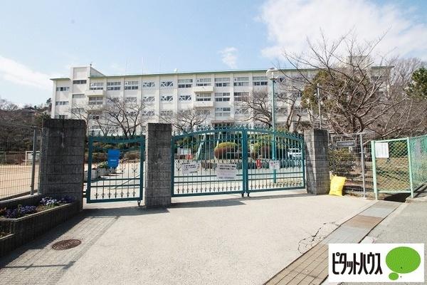 中学校