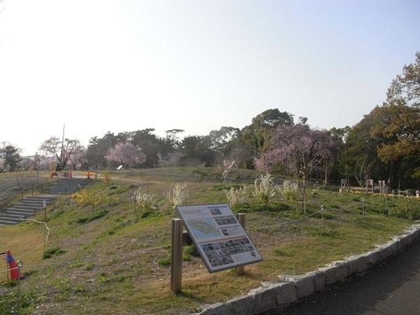 公園