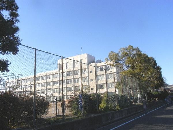 小学校
