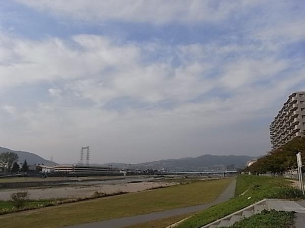 公園