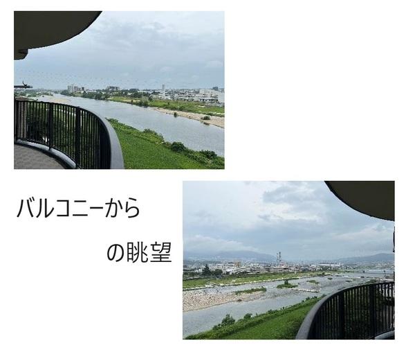 マイシティ武庫川レックスマション 眺望