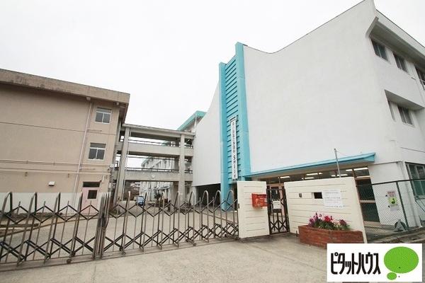 中学校