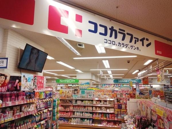 ドラックストア