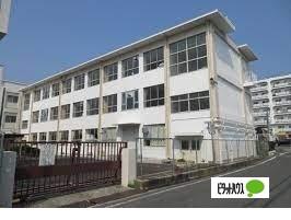 中学校