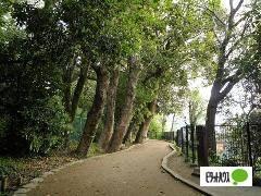 公園