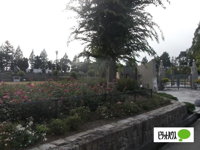 公園