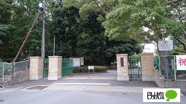 高校