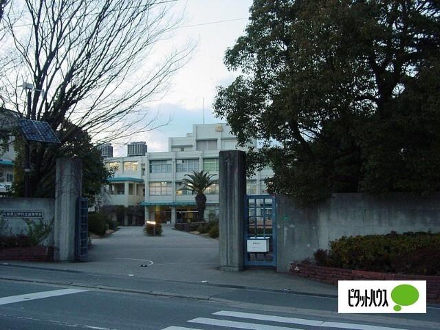 高校