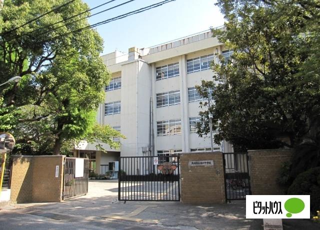 中学校
