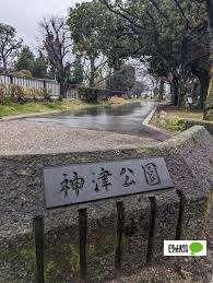 公園