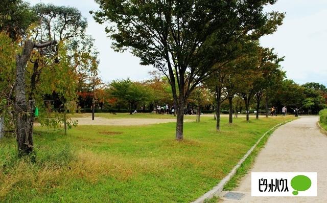 公園