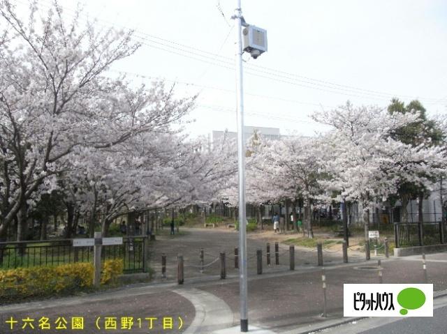 公園