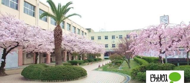 小学校