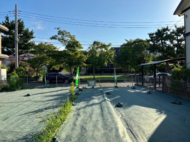 南西側から現地