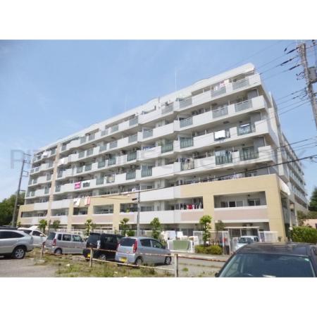 南側前面は駐車場で開放感があります