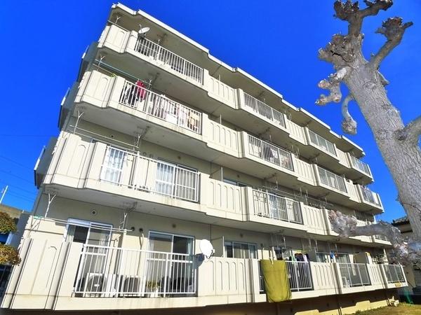 ライネスハイム南市川 外観